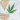A Beginner’s Guide to Cannabinoids and How They Can Support You