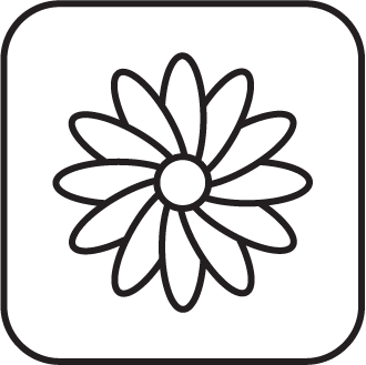 Calendula