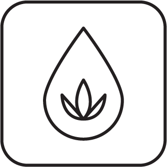 CBD Isloate