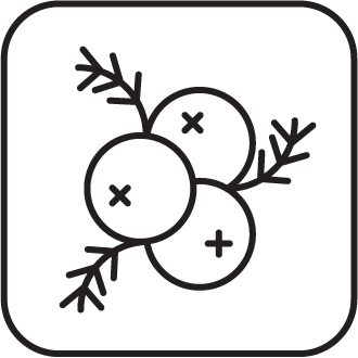 Juniper