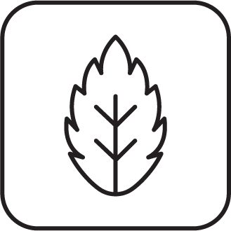 Menthol ingredient icon in Social CBD products