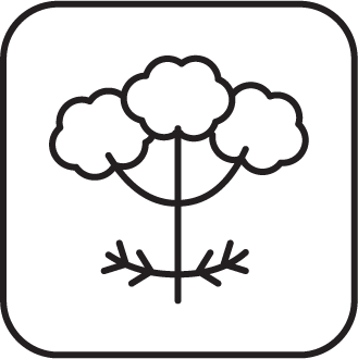 Valerian Root