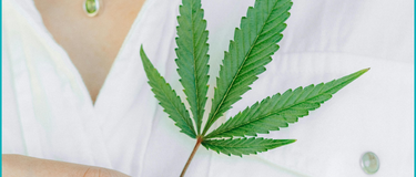 A Beginner’s Guide to Cannabinoids and How They Can Support You